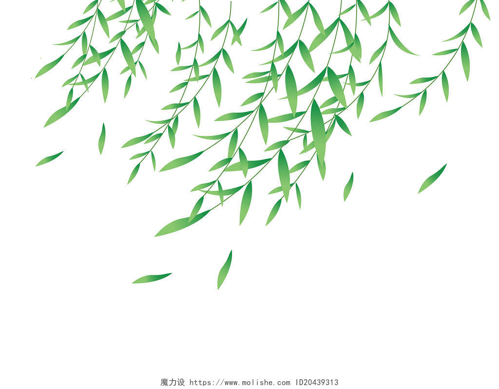 绿色卡通手绘春天春分春季柳叶柳树清明节元素PNG素材